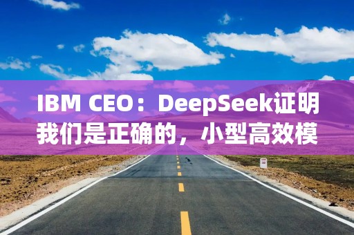 IBM CEO：DeepSeek证明我们是正确的，小型高效模型也有实际成果