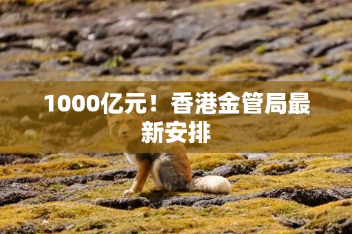 1000亿元！香港金管局最新安排