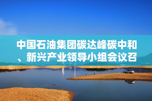 中国石油集团碳达峰碳中和、新兴产业领导小组会议召开