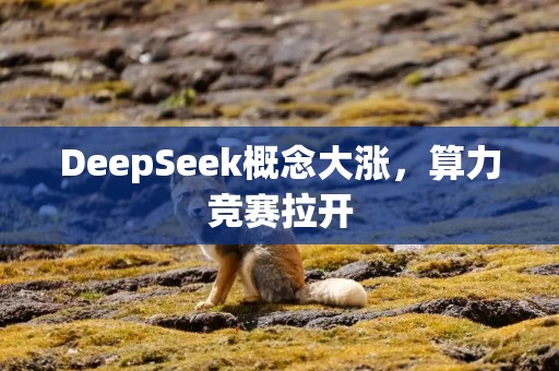 DeepSeek概念大涨，算力竞赛拉开