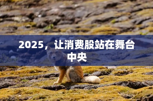 2025，让消费股站在舞台中央