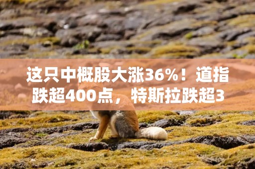 这只中概股大涨36%！道指跌超400点，特斯拉跌超3%，亚马逊市值一夜蒸发超7300亿元，啥情况？