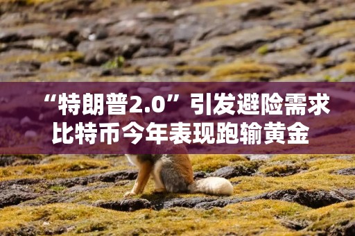 “特朗普2.0”引发避险需求 比特币今年表现跑输黄金