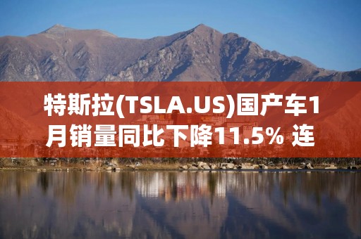 特斯拉(TSLA.US)国产车1月销量同比下降11.5% 连续第四个月下滑