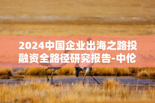 2024中国企业出海之路投融资全路径研究报告-中伦