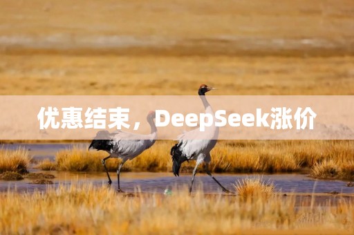 优惠结束，DeepSeek涨价