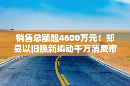 销售总额超4600万元！郏县以旧换新撬动千万消费市场