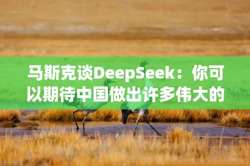 马斯克谈DeepSeek：你可以期待中国做出许多伟大的事，这只是其中之一