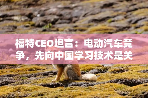 福特CEO坦言：电动汽车竞争，先向中国学习技术是关键