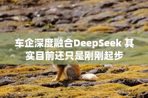 车企深度融合DeepSeek 其实目前还只是刚刚起步