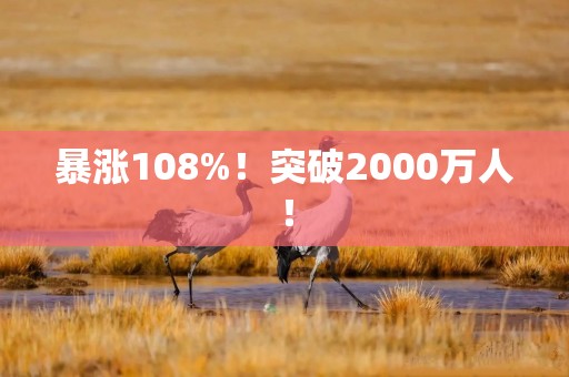 暴涨108%！突破2000万人！