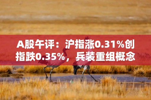 A股午评：沪指涨0.31%创指跌0.35%，兵装重组概念领涨！超3300股上涨，成交1.12万亿缩量361亿；机构解读