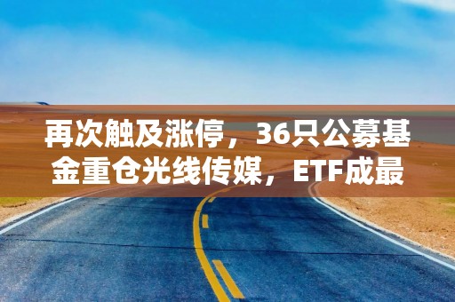 再次触及涨停，36只公募基金重仓光线传媒，ETF成最大赢家，资金正获利离场