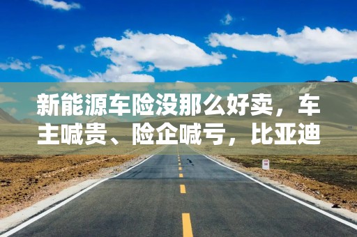 新能源车险没那么好卖，车主喊贵、险企喊亏，比亚迪财险首年亏损1.69亿