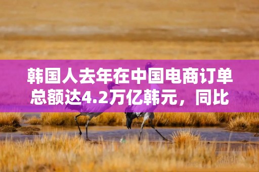 韩国人去年在中国电商订单总额达4.2万亿韩元，同比大增85%