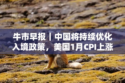 牛市早报｜中国将持续优化入境政策，美国1月CPI上涨3%