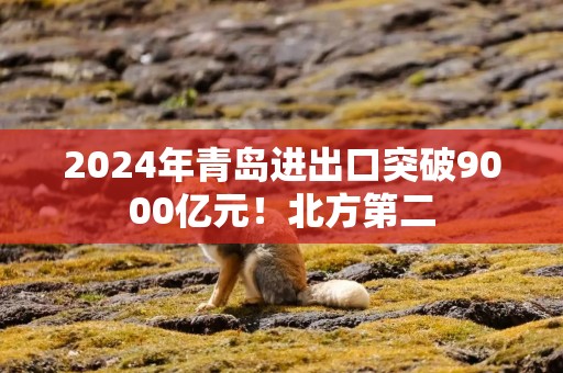 2024年青岛进出口突破9000亿元！北方第二