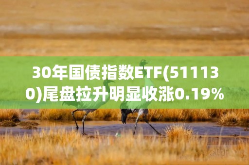 30年国债指数ETF(511130)尾盘拉升明显收涨0.19%，机构：债市多头逻辑未改，政策博弈临近波动加大