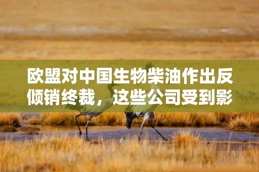 欧盟对中国生物柴油作出反倾销终裁，这些公司受到影响