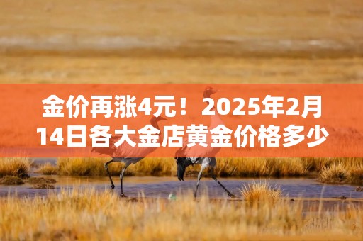 金价再涨4元！2025年2月14日各大金店黄金价格多少钱一克？