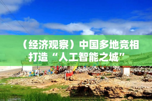 （经济观察）中国多地竞相打造“人工智能之城”