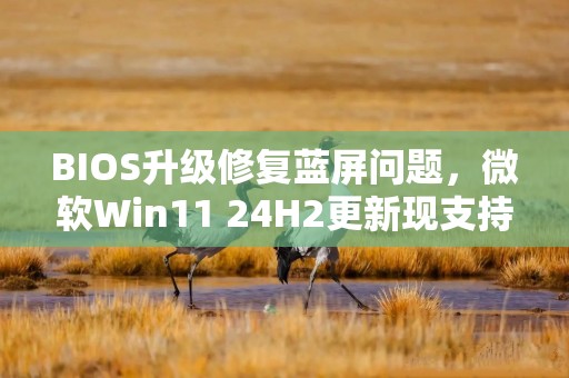 BIOS升级修复蓝屏问题，微软Win11 24H2更新现支持更多华硕电脑