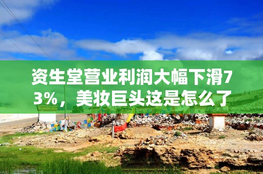 资生堂营业利润大幅下滑73%，美妆巨头这是怎么了？