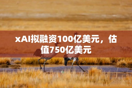 xAI拟融资100亿美元，估值750亿美元