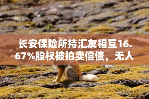 长安保险所持汇友相互16.67%股权被拍卖偿债，无人出价流拍