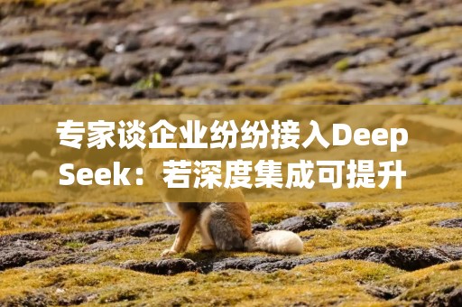 专家谈企业纷纷接入DeepSeek：若深度集成可提升技术