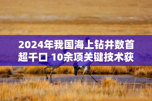 2024年我国海上钻井数首超千口 10余项关键技术获突破