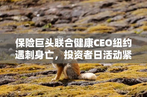 保险巨头联合健康CEO纽约遇刺身亡，投资者日活动紧急取消