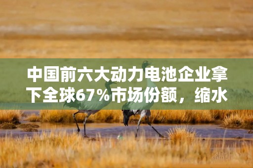 中国前六大动力电池企业拿下全球67%市场份额，缩水的日韩系如何接招？