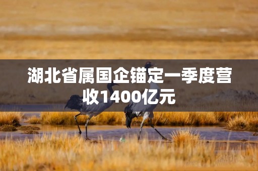 湖北省属国企锚定一季度营收1400亿元