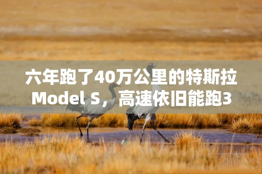 六年跑了40万公里的特斯拉Model S，高速依旧能跑327公里