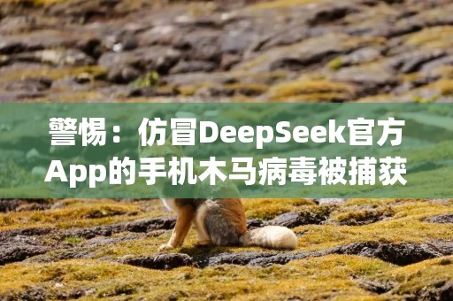 警惕：仿冒DeepSeek官方App的手机木马病毒被捕获