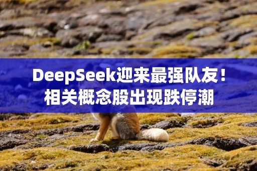 DeepSeek迎来最强队友！相关概念股出现跌停潮