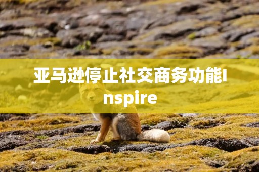 亚马逊停止社交商务功能Inspire