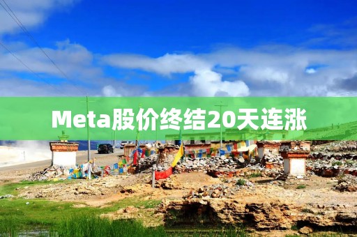 Meta股价终结20天连涨