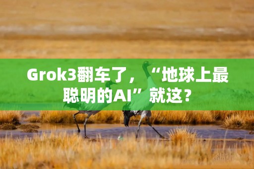 Grok3翻车了，“地球上最聪明的AI”就这？