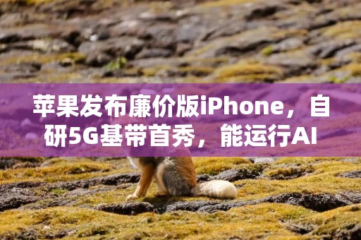 苹果发布廉价版iPhone，自研5G基带首秀，能运行AI模型，售价4499元起！