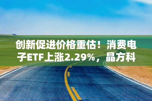 创新促进价格重估！消费电子ETF上涨2.29%，晶方科技涨停