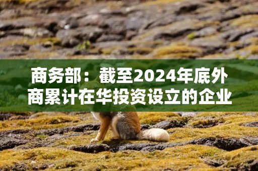 商务部：截至2024年底外商累计在华投资设立的企业超123.9万家