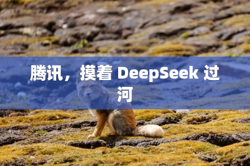 腾讯，摸着 DeepSeek 过河