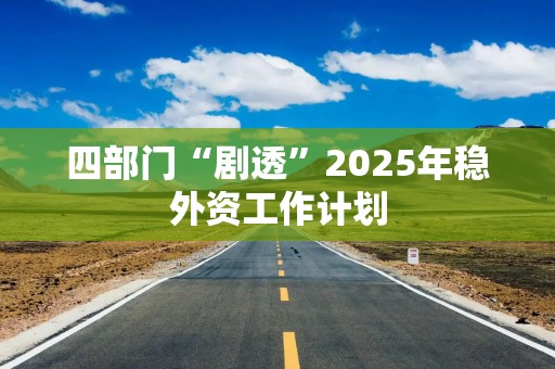 四部门“剧透”2025年稳外资工作计划