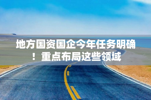 地方国资国企今年任务明确！重点布局这些领域