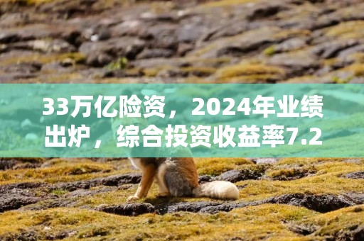 33万亿险资，2024年业绩出炉，综合投资收益率7.21%！