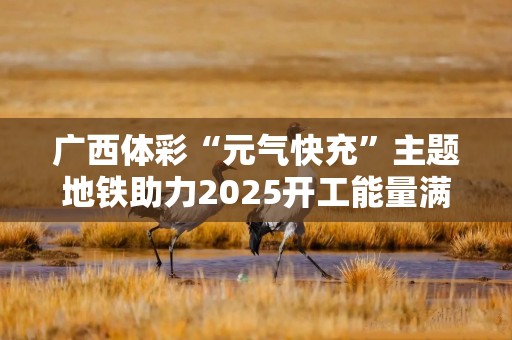 广西体彩“元气快充”主题地铁助力2025开工能量满满