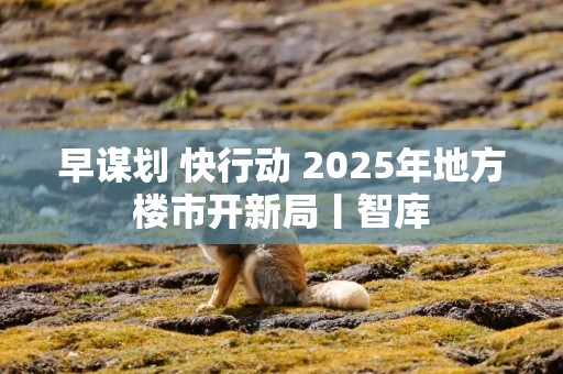 早谋划 快行动 2025年地方楼市开新局丨智库