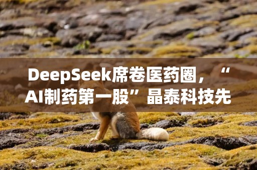 DeepSeek席卷医药圈，“AI制药第一股”晶泰科技先囤钱，火速抛出21亿港元融资案